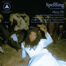 Spelling: Mazy Fly
