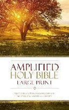 Amplified Holy Bible, Large Print, Hardcover