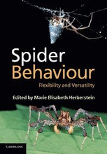 Spider Behaviour