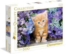 500 pcs High Quality Collection GINGER CAT