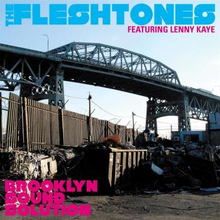 Fleshtones: Brooklyn sound system 2011