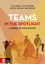 Teams In The Spotlight - A Handbook For Team Development