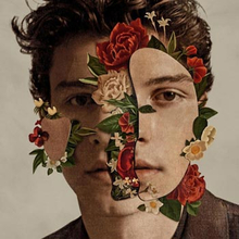 Mendes Shawn: Shawn Mendes