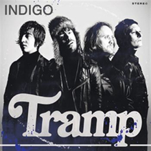 Tramp: Indigo 2011