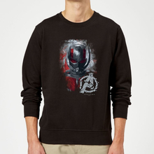 Avengers Endgame Ant Man Brushed Sweatshirt - Black - S - Black