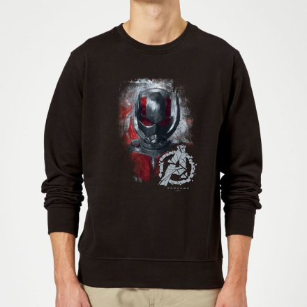 Avengers Endgame Ant Man Brushed Sweatshirt - Black - M - Black