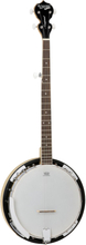 Tanglewood TWB18 M5 banjo, 5-strenget