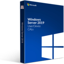 Microsoft Windows Server Cal 2019 English 5-user Cal Document
