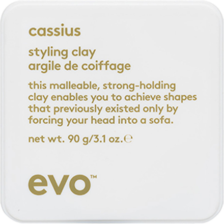 Evo Cassius Styling Clay 90 g