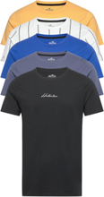 Hco. Guys Knits T-shirts Short-sleeved Multi/mønstret Hollister*Betinget Tilbud