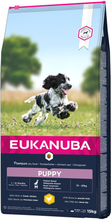 Eukanuba Puppy Medium Breed Huhn - Sparpaket: 2 x 15 kg