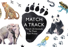 Match A Track- Match 25 Animals To Their Paw Prints