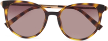 "Contention Accessories Sunglasses D-frame- Wayfarer Sunglasses Brown Le Specs"