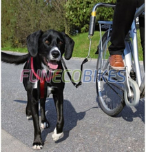 TRIXIE Hund sykkelsett bånd svart 1287