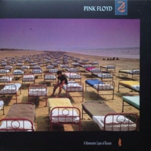 Pink Floyd - A Momentary Lapse Of Reason (180 Gram)