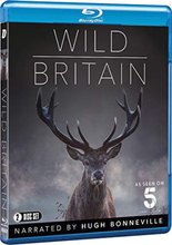 Wild Great Britain