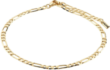 Dale Recycled Open Curb Ankle Chain Accessories Jewellery Ankle Chain Gold Pilgrim
