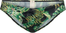 Kano Brief Swimwear Bikinis Bikini Bottoms Bikini Briefs Green Dorina