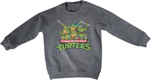 Teeange Mutant Ninja Turtles Distressed Group Kids Sweatshirt, Sweatshirt