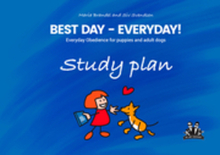 Best Day - Everyday Study plan