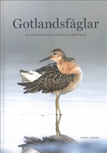Gotlandsfåglar