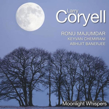 Coryell Larry: Moonlight whispers