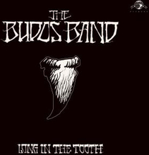 Budos Band: Long in the tooth