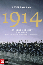 Stridens Skönhet Och Sorg 1914 - Första Världskrigets Inledande År I 68 Korta Kapitel