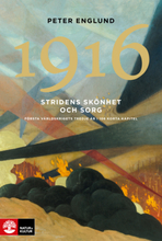 Stridens Skönhet Och Sorg 1916 - Första Världskrigets Tredje År I 106 Korta Kapitel