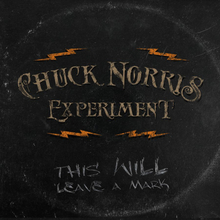 Chuck Norris Experiment: This Will Leave A Mark