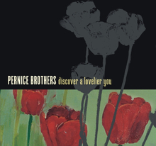 Pernice Brothers: Discover a Lovelier You