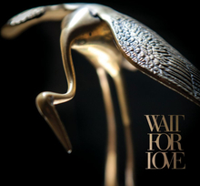 Pianos Become The Teeth: Wait For Love (Clear)