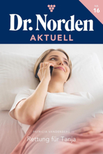 Dr. Norden Aktuell 16 – Arztroman