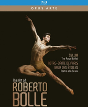Bolle Roberto: The Art Of...