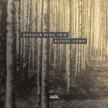 Berg Oddgeir (trio): Before Dawn