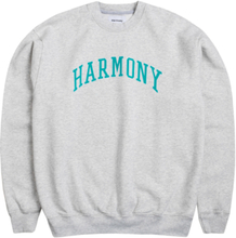 Harmony Seal University Crewneck Pullover lässiger Sweater Grau