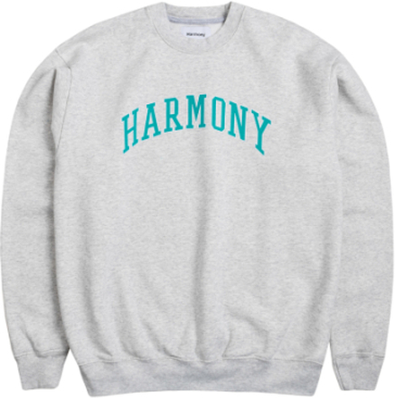 Harmony Seal University Crewneck Pullover lässiger Sweater Grau