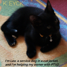I'm Leo, a service dog in a cat jacket, and I'm helping my owner with PTSD