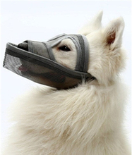 Liten och medelstor, långmunad hund munskydd Teddy hundmask, storlek: XL (grå)