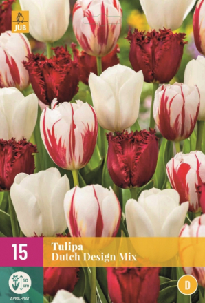 Tulpen Dutch Design Mischung