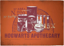 Decorsome x Harry Potter Hogwarts Apothecary Woven Rug - Large