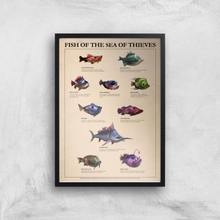 Fish Of The Sea Of Thieves Giclee Art Print - A3 - Black Frame
