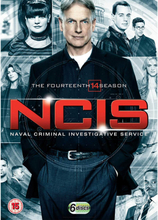 NAVY NCIS: NAVAL CRIMINAL INVESTIGATIVE SERVICE: SEASON 14 SET