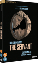 The Servant (Vintage Classics)