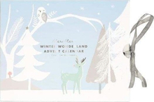 Figurine Meri Meri Advent calendar Winter land one size