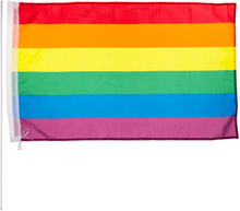Regnbågsflaggan med Pinne