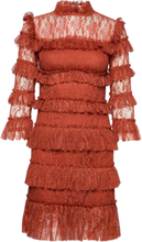Carmine Frill Mini Lace Dress Dresses Lace Dresses Brun By Malina*Betinget Tilbud