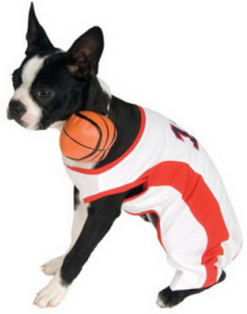 Basketball Spiller Hundekostyme - Strl M/35-40 cm