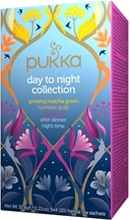 Te Day To Night Collection 20 pussia