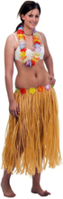 Hawaii-klänning karnevalklädsel